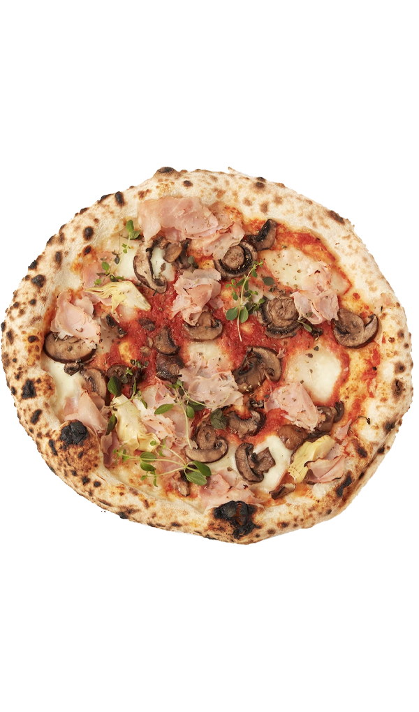Special Pizza with smoked cheese and vegetable as toppings